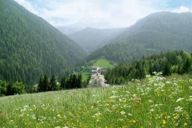 Image for GANISCHGERHOF - MOUNTAIN RESORT &amp; SPA