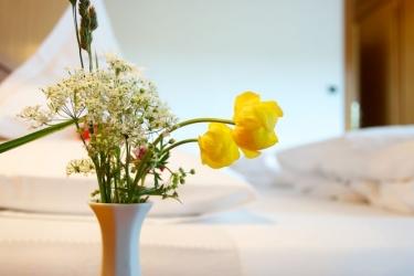 Image for GANISCHGERHOF - MOUNTAIN RESORT &amp; SPA
