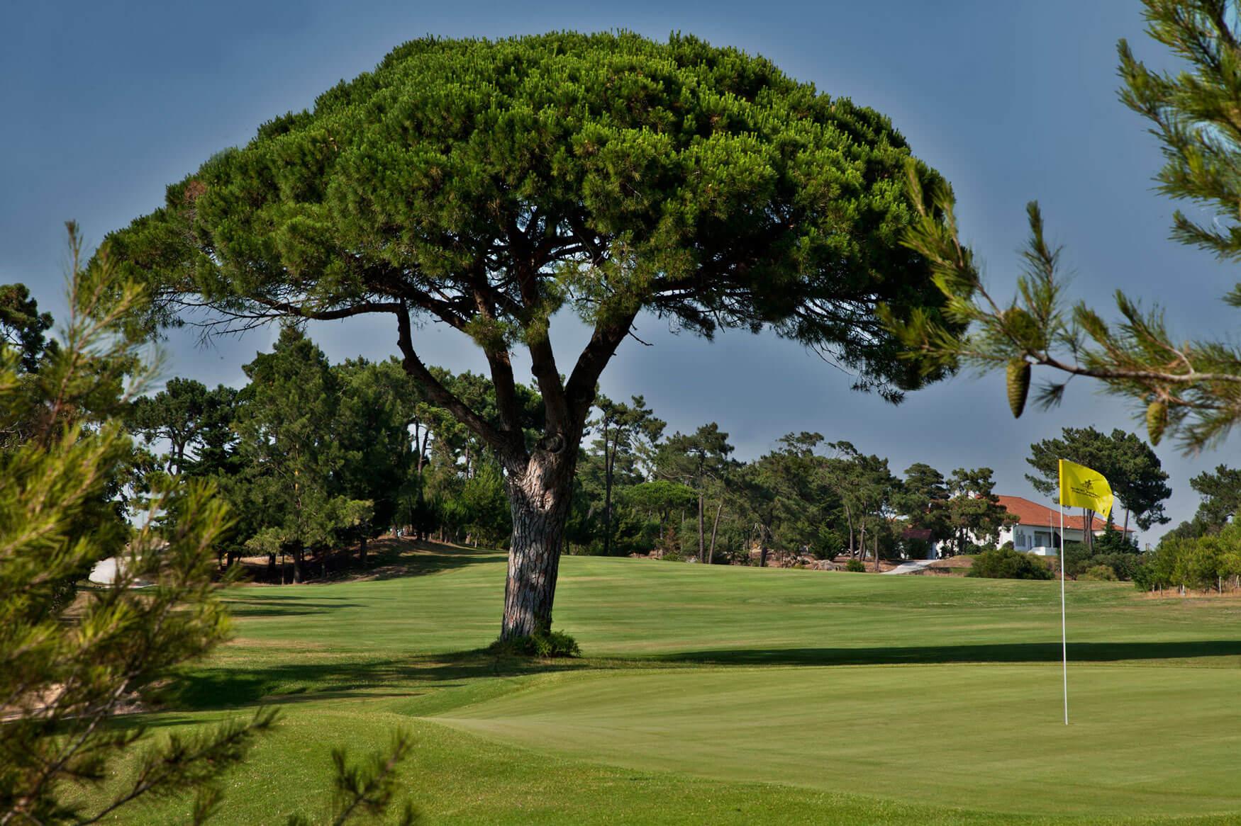 Estoril Golf - Picture 0