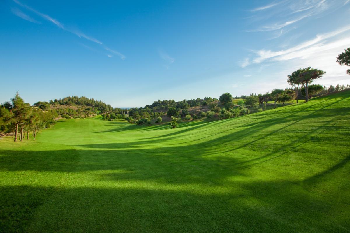 Image for Chaparral Golf Club