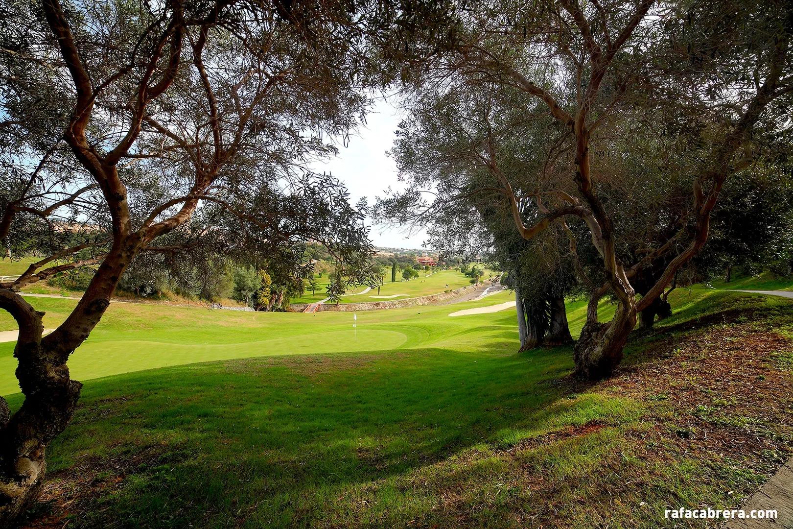 Image for Santa Clara Golf Marbella