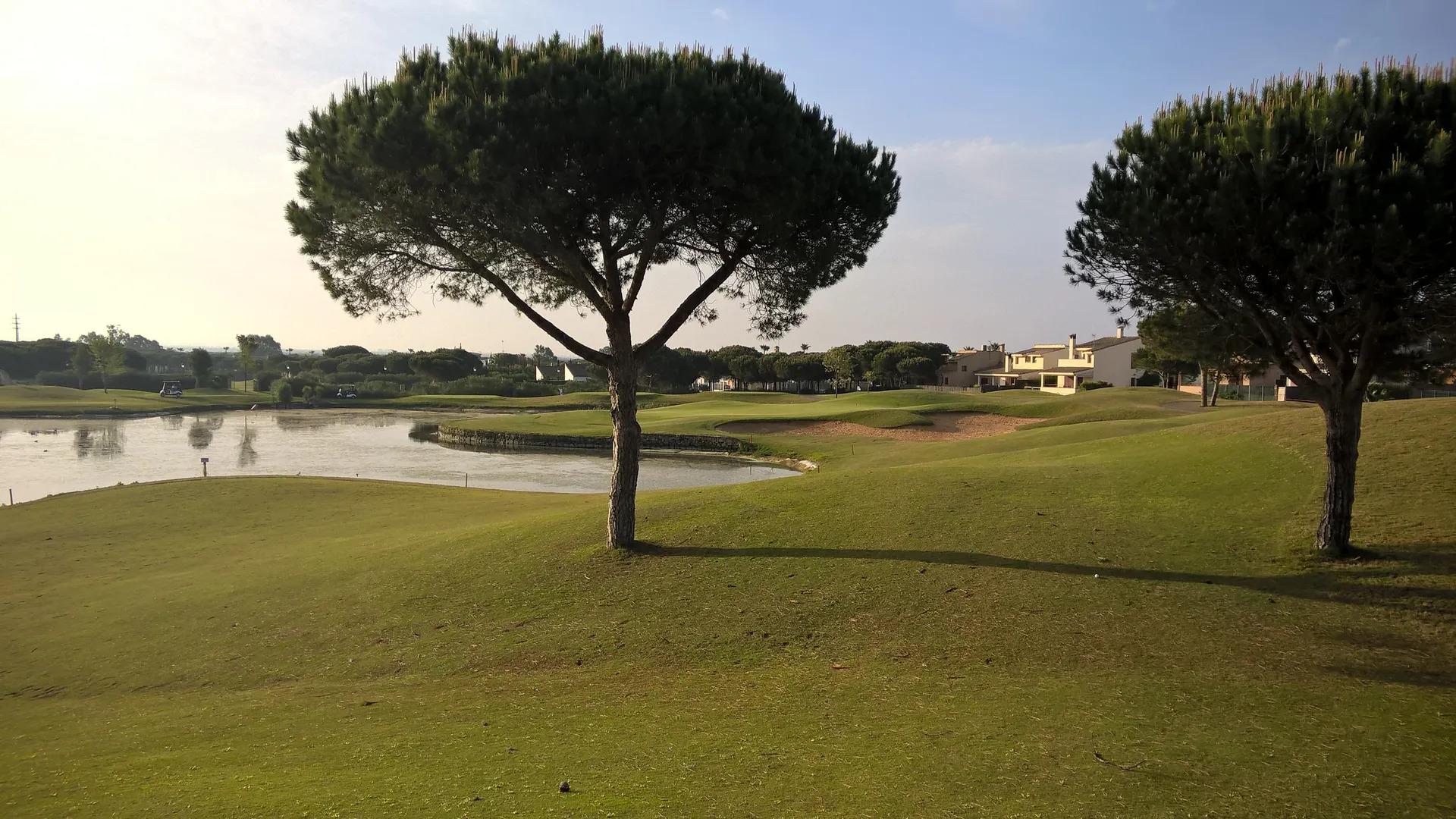 Sancti Petri Hills Golf - Picture 3