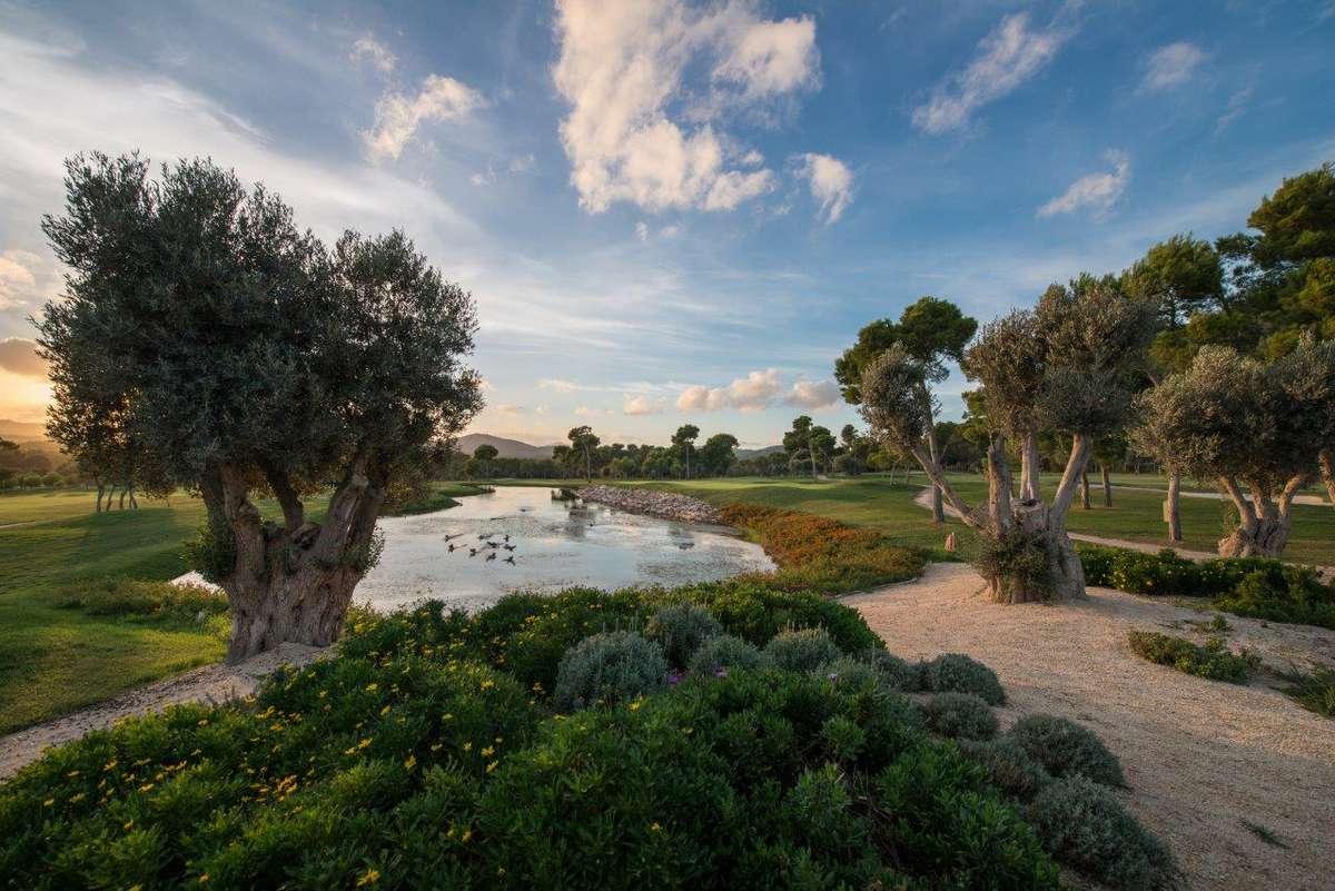 Club de Golf Son Servera - Picture 1