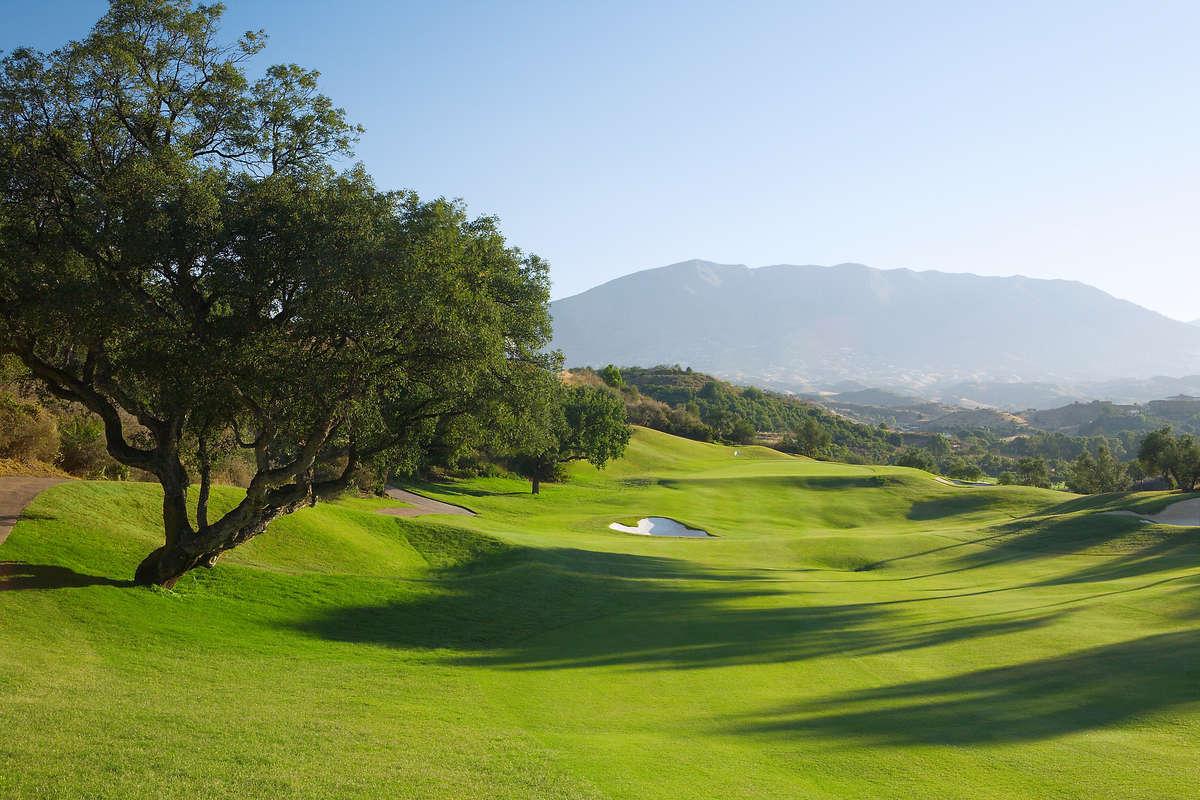 Image for La Cala Resort