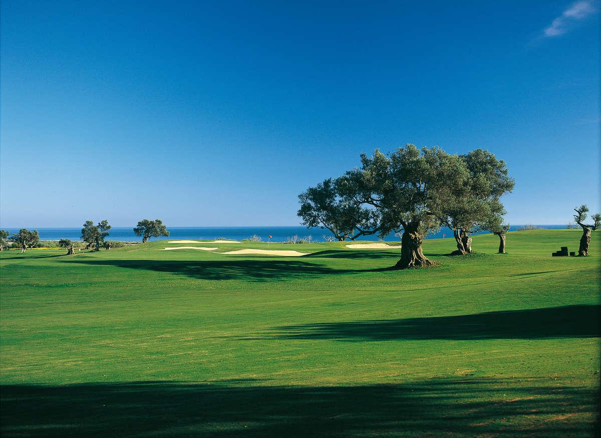 Image for Quinta da Ria Resort