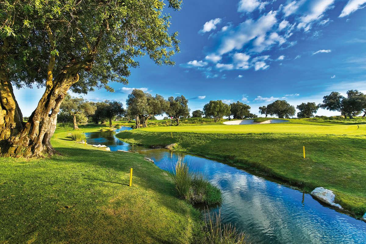 Image for Quinta da Ria Resort