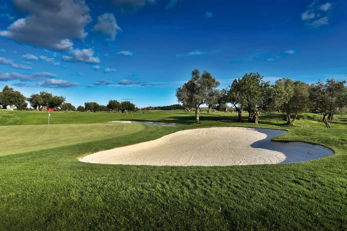 Image for Quinta da Ria Resort