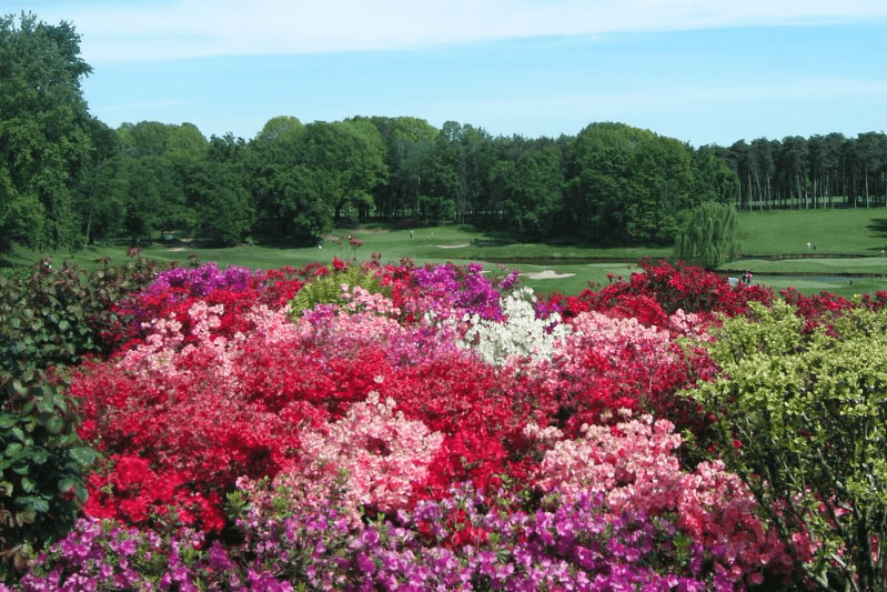 Image for Golf Club Castelconturbia