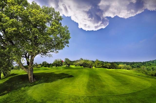 Image for Golf Club Colli Berici