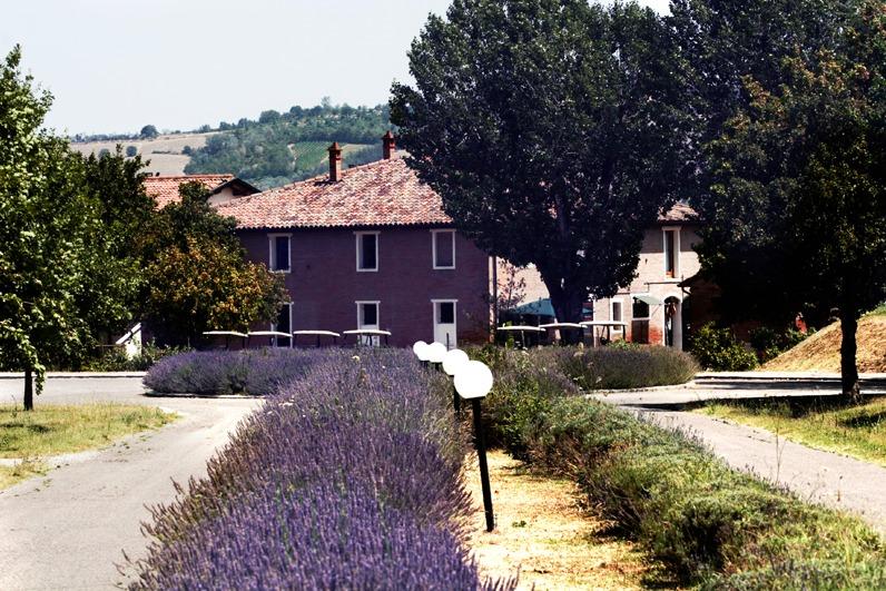 Image for Golf & Country Club Riolo Terme - La Torre