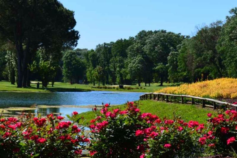 Image for Olgiata Golf Club