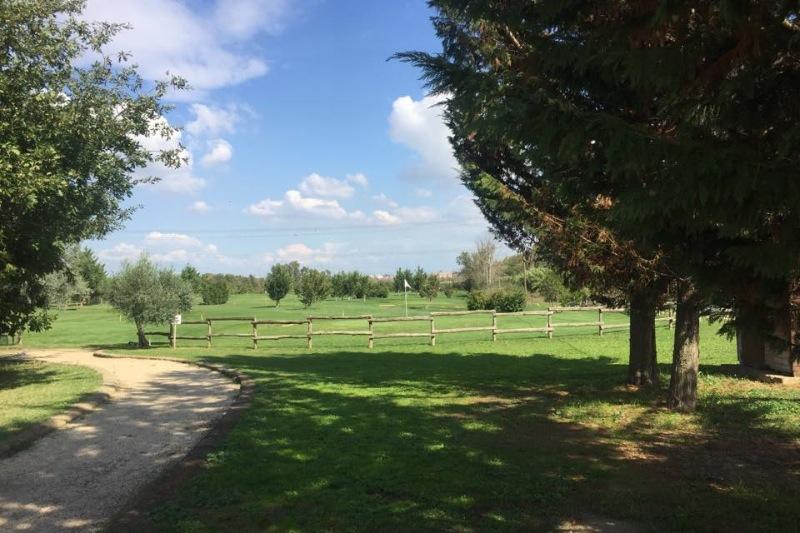 Image for TIBER GOLF CLUB