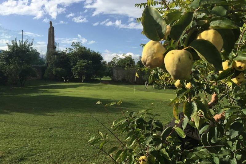 Golf Club Palermo Parco Airoldi - Picture 1