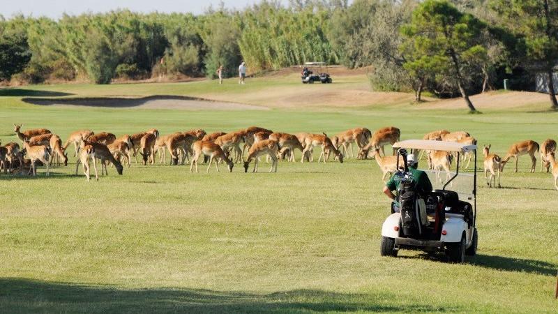 Image for  Golf & Relax: 6 notti, 4 green fee a Padova