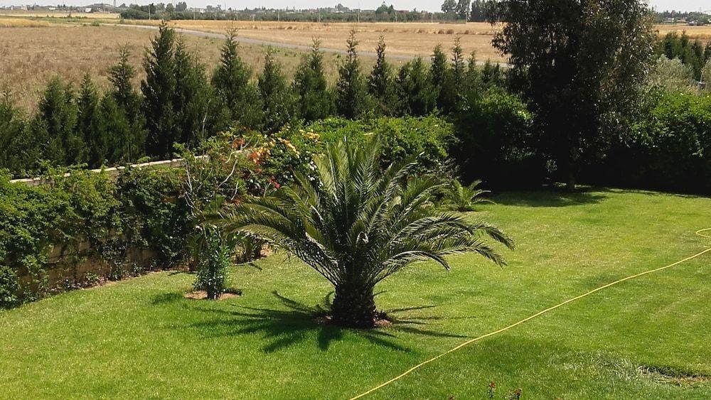 Image for RIAD TANJIL