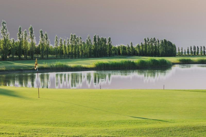 Ferrara Golf - Picture 2