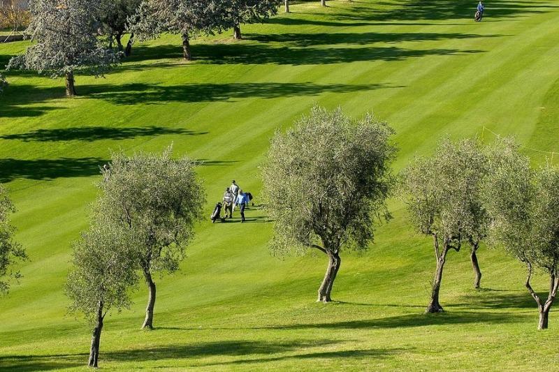 Golf Club Castellaro - Picture 1